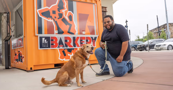 The Barkery photo 2